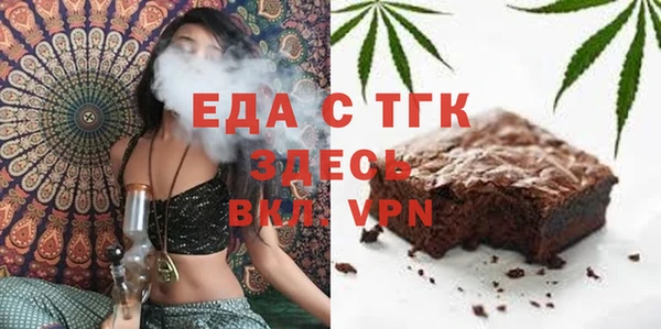 индика Богородицк