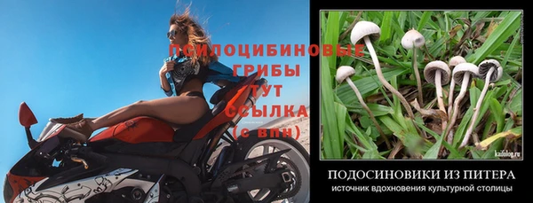 ECSTASY Володарск