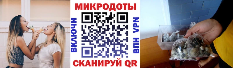 Галлюциногенные грибы Psilocybe  Зеленодольск 
